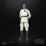 Hasbro Star Wars The Black Series Grand Admiral Thrawn at parade rest